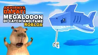 RARE BANGET! Berburu Megalodon Pet di Catch and Tame ROBLOX