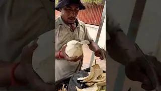 Very Fantastic of Coconut Cutting Skill. #coconut #cuttingskills #skills #viral #viralvideo
