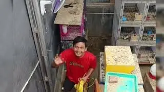 PEKERJAAN ATASI SALURAN TERSUMBAT DIKANDANG BURUNG SULTAN, KOTA METRO ☎️ 081291111455 #kangwcmetro 