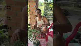 Сегодня я приехал навестить своего любимого отца.