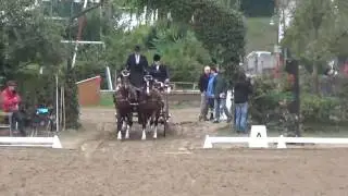 Herchenrode 2016 Dressur Lars Schwitte