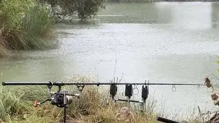 Low Pressure Brings on the bites 👌 #carpfishing #carp #anglinglife