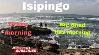 Fishing in Isipingo for Shad