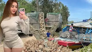 Full Video: Inside Vietnam&rsquo;s Massive Duck Migration Coordinated by Five Trucks and a Single Boat