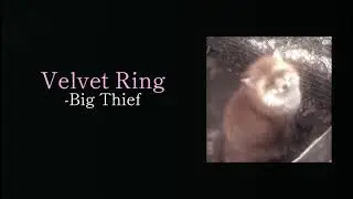 Velvet Ring - Big Thief (Lyrics)