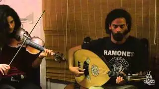 Azafran en La Salita de CasaMaty (12/02/2016_Cuenca)