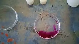 lab indicators#acid base test @Happy learning