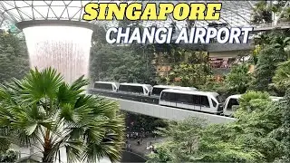 Singapore Changi Airport A Complete Guide Walking Tour On Terminal 1-2-3 | Transit Area  And Jewel🇸🇬