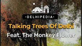 Talking Trees of Delhi | Monkey Flower TreeMonkey Flower Tree