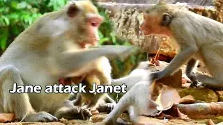 Jane anger attack to Janet when see Janet play hurt to Janna, Janet cry...cry loudly and scare mom