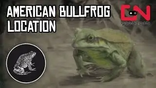 Red Dead Online - American Bullfrog Location - Daily Challenge