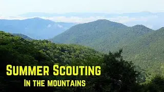 Georgia Mountain Scouting | Multiple Bears!!!