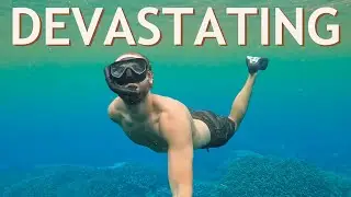 Today did NOT go as planned (our final day in Bali)