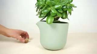 Natural Balance - The Ultimate Self Watering Flowerpot, Now On Kickstarter - Studio Lorier