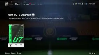 I PACKED TOTS BELLINGHAM TRADEABLE..