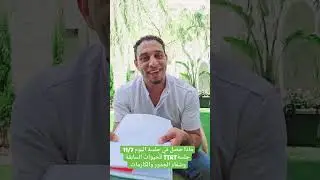 جلسة حيوات سابقة TTRT | طب شامل موحد| شغف وحياة
