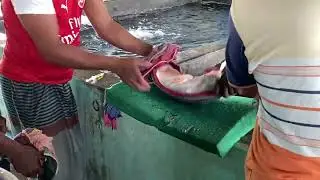 Fish Roe Extraction Made Easy with Squeezing Techniques