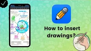 How to insert drawings to notes on Notability? - Notability Tips