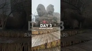 Day 3: Rwanda Safari