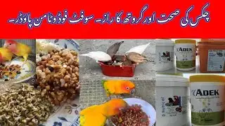 Chicks ki sehat aur growth ka raz | soft food vitamin powder for all kind of birds parrots & poultry