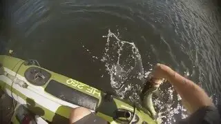 Urban Bass Slayers