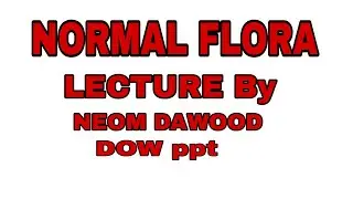 normal flora Dow ppt immunology semester 1 study microbiology unit human and microbial intarction