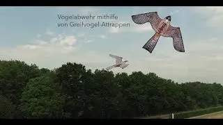Vogelscheuchen Drachen - Greifvogel Attrappe zur effektiven Vogelabwehr