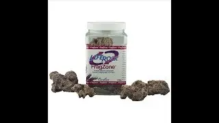 Carib Sea Life Rock Frag Zone 1 Quart