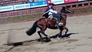 Luis Eduardo cortes campeón de movimiento de Rienda