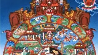 The Origins of Worship: The Worship of Animals 