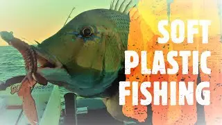 FISHING THE SHALLOW REEFS OUTSIDE MORETON ISLAND ON SOFT PLASTICS
