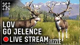 KAHOOT - Lov GO | The Hunter: Call of the wild CZ  | Lets play | Česky