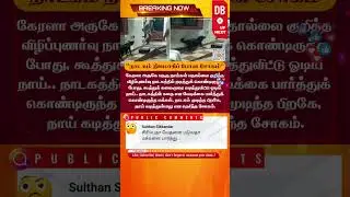 Street Dog Bites Performer During Awareness Play in Kerala | Tamil News Update