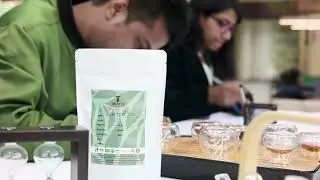 Okayti Single Tea Estate Darjeeling Quality Check  of the  Okayti Tea at Okayti Tea  Tasting Room