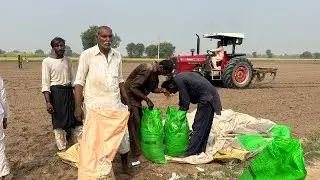 Wahid Arsal Farm  SAHIWAL 