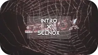 intro &times; selnox &times; .marondzn w/Shxrkz