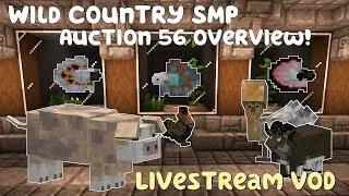 Wild Country Modded Minecraft Server - Livestream 59