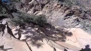 Climbing Angel's Landing