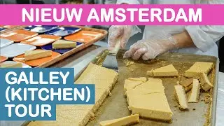 Nieuw Amsterdam: Galley/Kitchen Tour (Holland America)