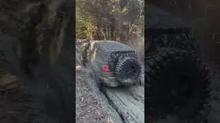 FJ Cruiser |#youtubeshorts #шорты