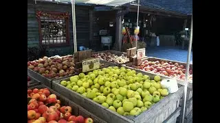 Granja de Manzanas uvas Duraznos  Weed Orchards and Winery