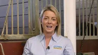Managing the Equine Gut for Optimal Health and Performance