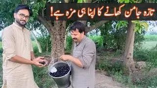 Jaman Khany Puhnch Gy - My First Vlog | Mudassar Speaks