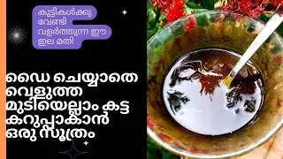 നര പൂർണമായി മാറി മുടി കട്ട കറുപ്പാകാൻ ഈ ഇല മാത്രം മതി💯|best natural diy for you're gray hair
