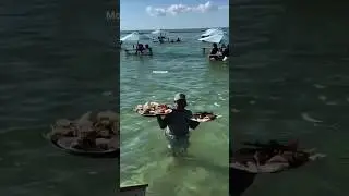 Floating restaurant Paradise is Jamaica#food #foodie #foodlover #bobmarley #travel #comedy#vacation