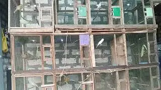 Kandang ternak burung kenari, blackthroat, zebra Finch, red siskin, gold amadin
