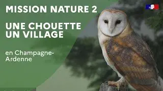 Mission nature : le projet 