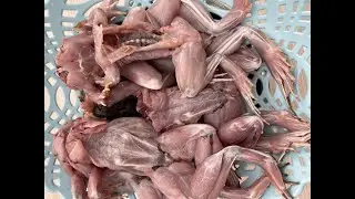 Picked lime frog soup cooking food recipe so yummy