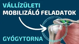 Váll mobilizáló feladatok, gyógytorna