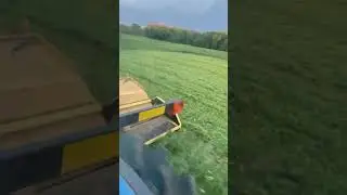 Mowing Alfalfa Short